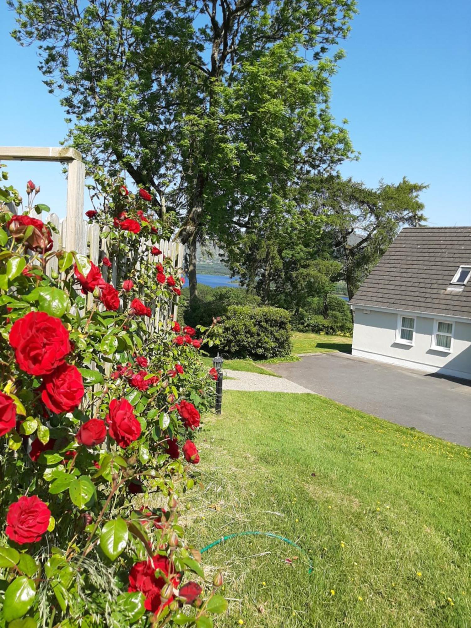 Abhainn Ri Cottages Blessington Exterior photo