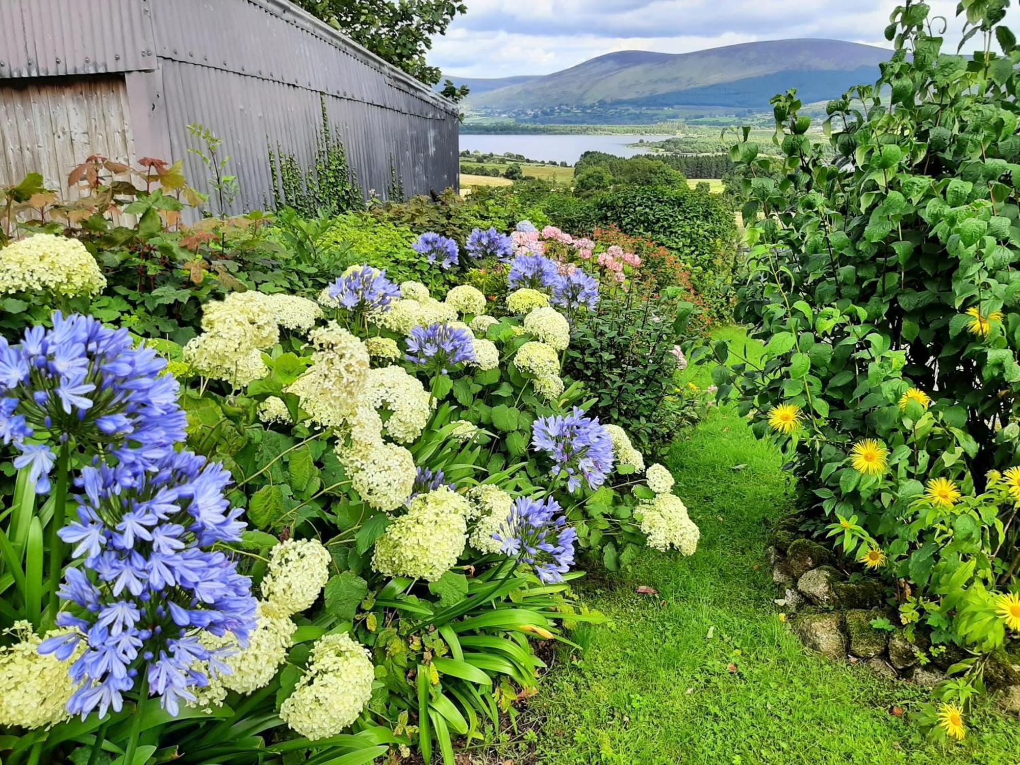 Abhainn Ri Cottages Blessington Exterior photo